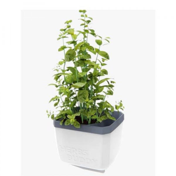 Herbs Buddy Herb Pot White