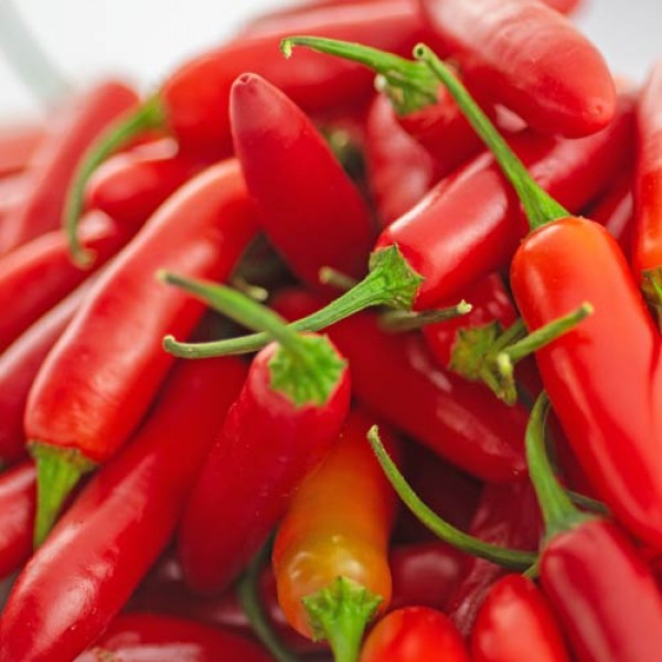 BIO_Serrano_Chilis_rot_frisch_500g_01.jpg