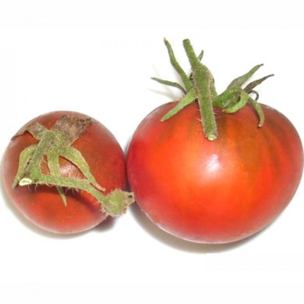 Black Truffle Tomato Seeds