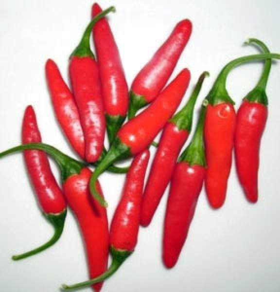 Explosive Ember Chili Seeds