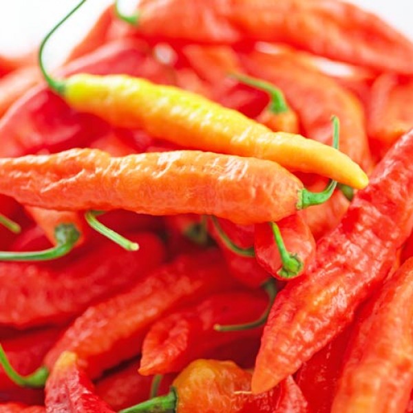 BIO_Aji_Ahuachapan_Chili_frisch_1kg_01.jpg