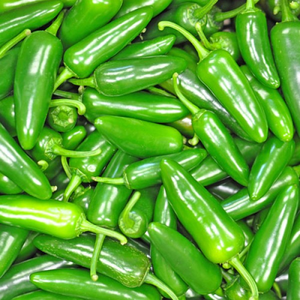 Fresh Green Jalapeno Chillies 1000g