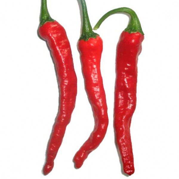 Kashmir Chili Seeds