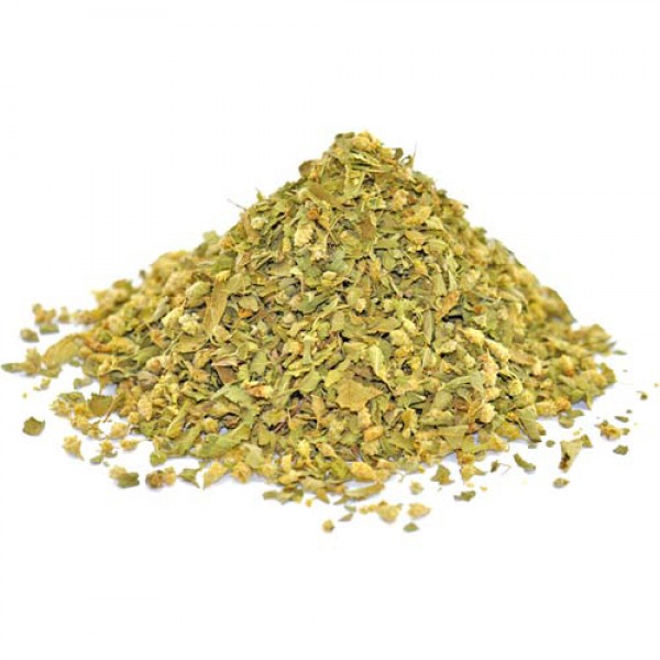 Mexican Oregano