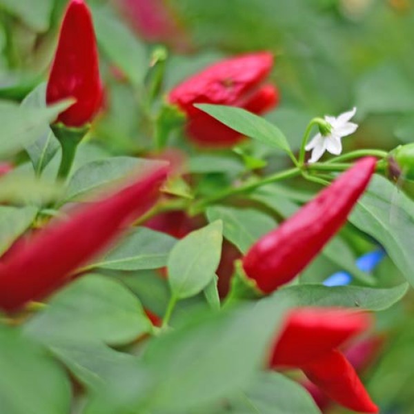140336_01.jpg