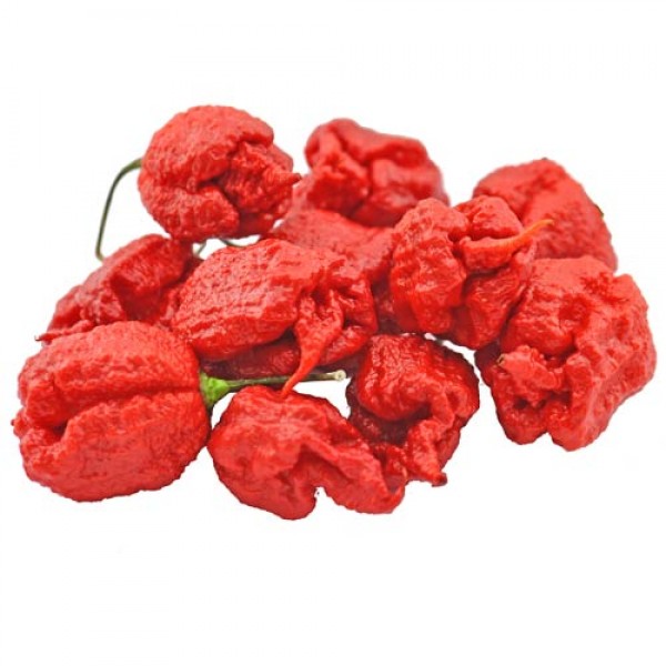 Carolina_Reaper_Chili_frisch_100g_1.jpg