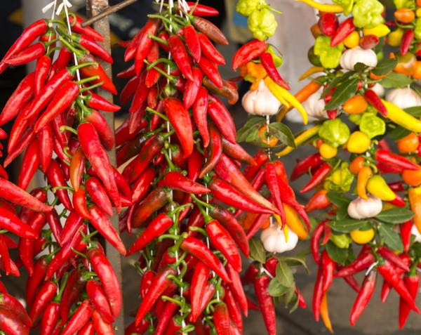 Chili peppers are a real superfood