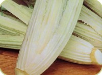 Artischocke_Bianco_Avorio_Samen_1.jpg Artischocke_Bianco_Avorio_Samen_1.jpg