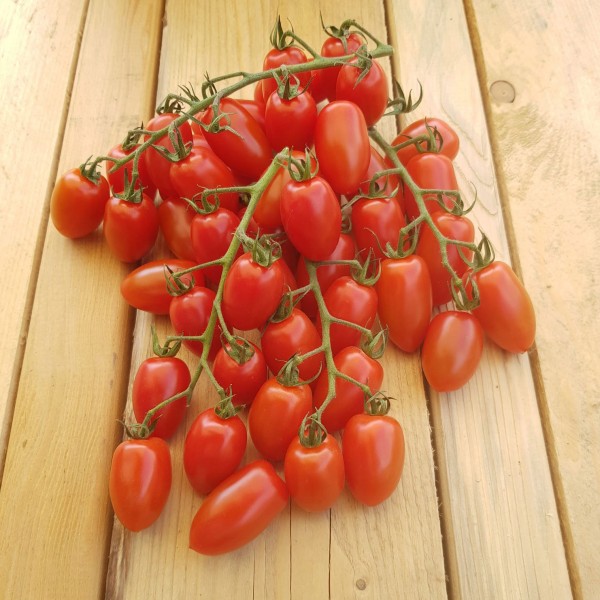 Red droplet Tomato Seeds