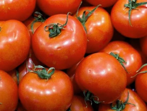 Craigella_Tomaten_Samen_B_Ware_1.jpg