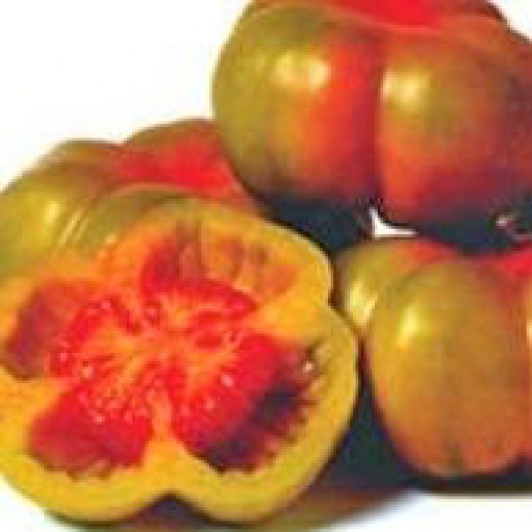 Montserrat Tomato Seeds