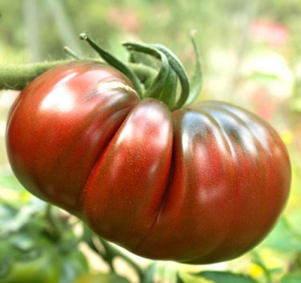 Black Russian Tomato Seeds