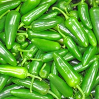 Fresh Green Jalapeno Chillies 1000g Fresh Green Jalapeno Chillies 1000g