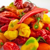 139936_01.jpg 139936_01.jpg