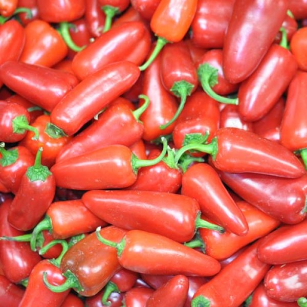 Fresh organic Jalapeno Big Chillies 500g