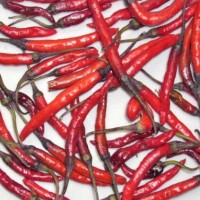 Naga Jolokia Purple - Indian PC-1 Chili Seeds Naga Jolokia Purple - Indian PC-1 Chili Seeds