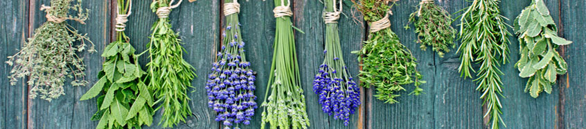 Mediterranean Herbs