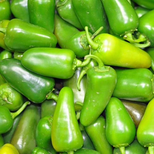 Fresh organic Jalapeno Big Chillies 500g