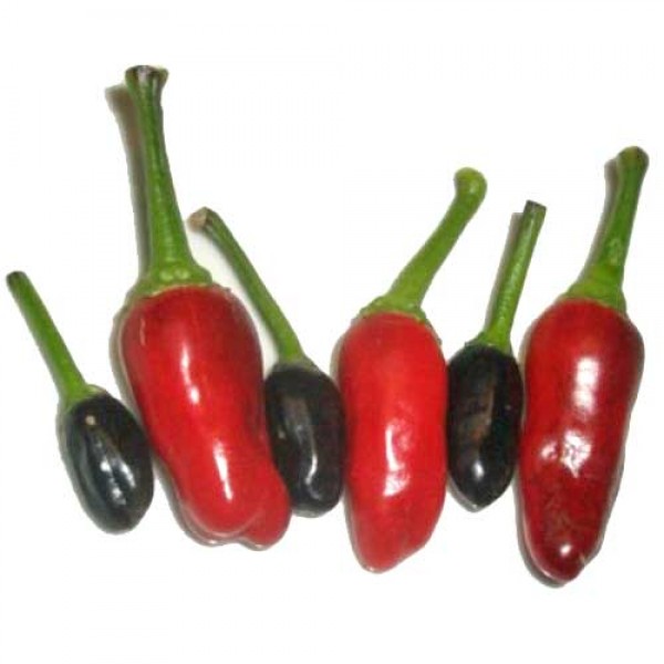 Tabasco Black Chili Seeds