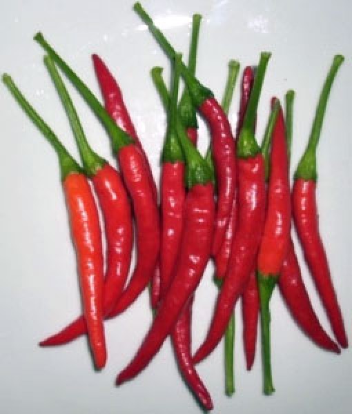 Thai Ladyfinger Chili Seeds