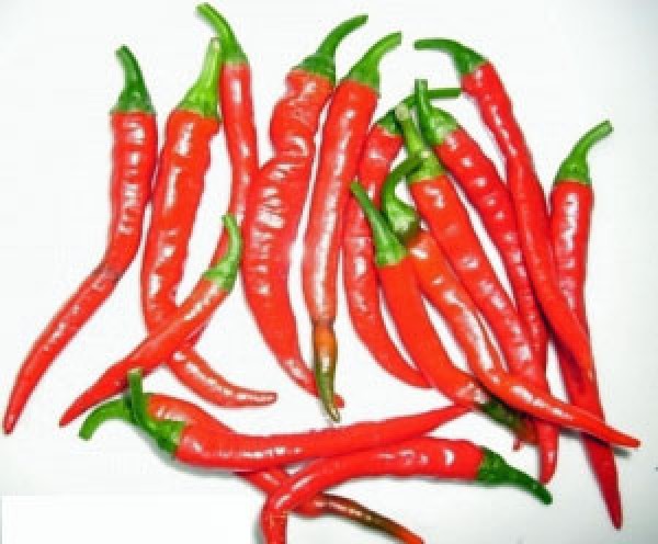 Ring of Fire Chili Seeds