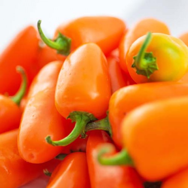 Fresh organic Jalapeno Orange Chillies 500g