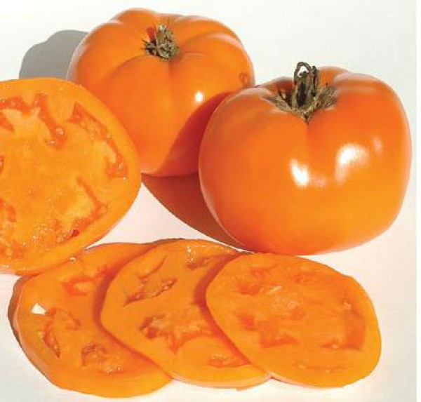 Valencia Tomato Seeds