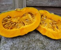 Kuerbis_Sweet_Mama_Samen_1.jpg Kuerbis_Sweet_Mama_Samen_1.jpg