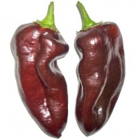 140099_01.jpg 140099_01.jpg