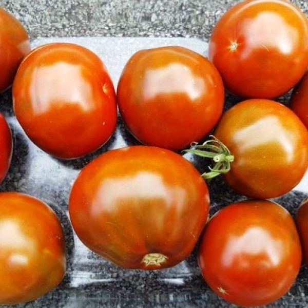 Japanese_Black_Trifele_Tomaten_Samen_1.jpg