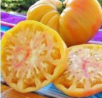 Old German Tomato Seeds Old German Tomato Seeds