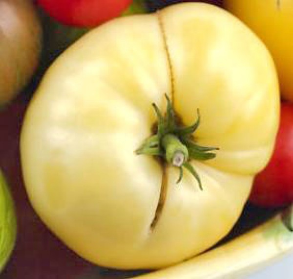 White Wonder Tomato Seeds