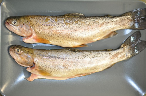Trout with chili-fried fish spice