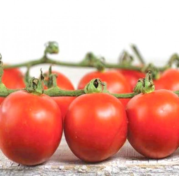 Chadwick Cherry Tomato Seeds