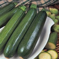Zucchini_All_Green_Bush_Samen_1.jpg Zucchini_All_Green_Bush_Samen_1.jpg