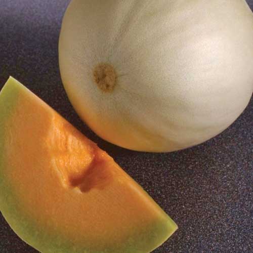 Melon Honeydew Orange Flesh Seeds buy online at