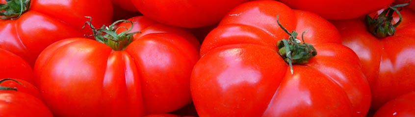 Beefsteak Tomatoes