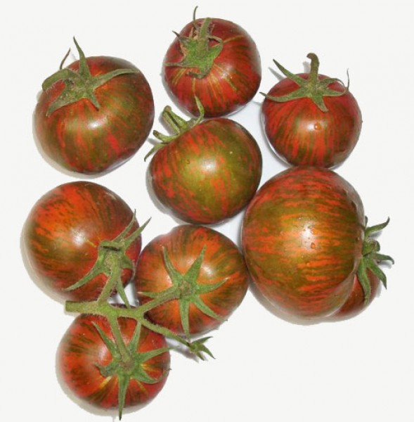 Black Zebra Tomato Seeds