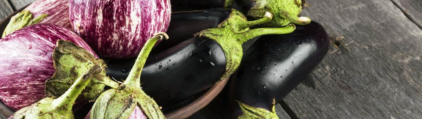 Eggplant & Courgette