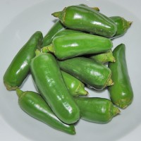 Jalapeno_Chili_Samen_1.jpg Jalapeno_Chili_Samen_1.jpg