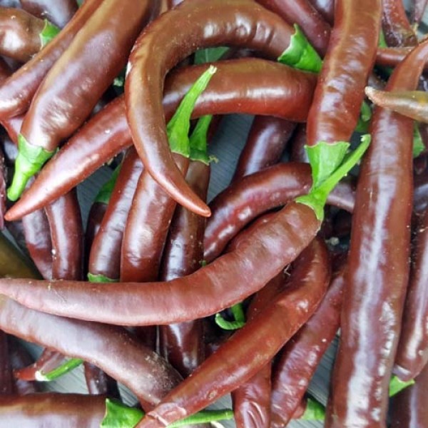 Fresh organic Cayenne Chillies 1kg