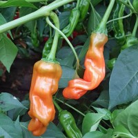 100327_01.jpg 100327_01.jpg