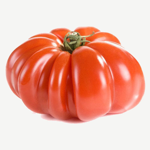 Buy online Costoluto Genovese Tomato seeds - chili-shop24.com