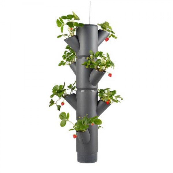 134893_Sissi_Strawberry_Starter-Set_Hanging_01.jpg