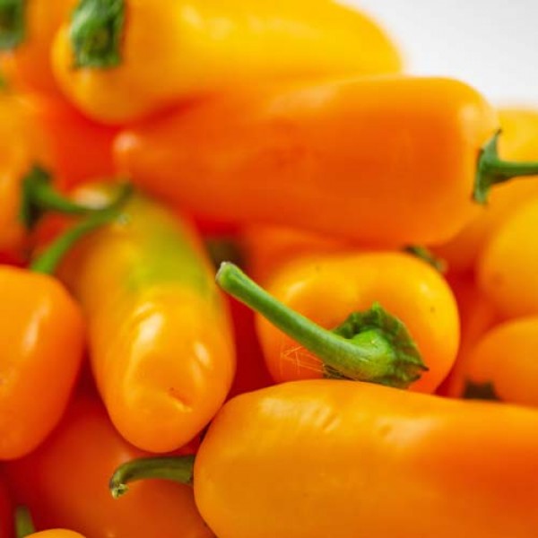 Fresh organic Jalapeno Yellow Chillies 500g