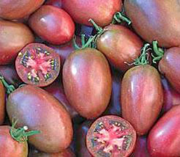 Purple Russian Plum Tomato Seeds