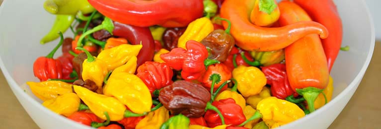 Chili Pepper Types