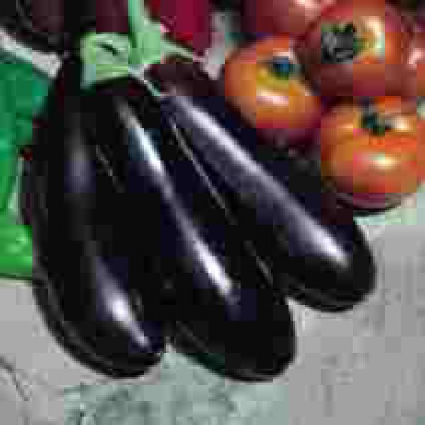 Aubergine_Long_Purple_Samen_1.jpg